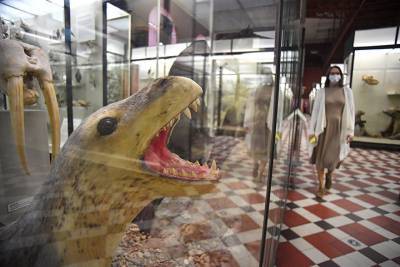 Зоологический музей пригласил москвичей на экскурсии в выходные дни - vm.ru
