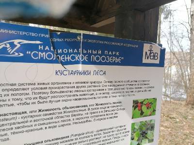 "Пошлые рисунки". В "Смоленском Поозерье" орудуют вандалы - rabochy-put.ru