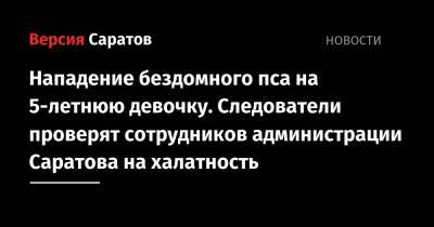 Нападение бездомного пса на 5-летнюю девочку. Следователи проверят сотрудников администрации Саратова на халатность - nversia.ru - Саратовская обл. - Саратова