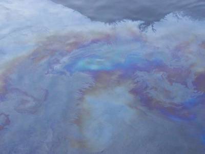 Росприроднадзор возбудил дело о разливе нефти из трубопровода структуры «Роснефти» - rosbalt.ru - Югра