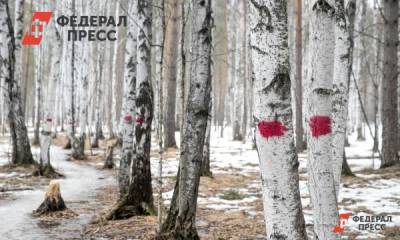 Игорь Дяченко - На Кубани запретили митинг против вырубки рощи - fedpress.ru - Новороссийск