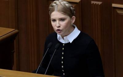 Юлия Тимошенко - Тимошенко задекларировала $5,5 млн наличными - korrespondent.net