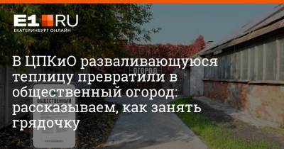 В ЦПКиО разваливающуюся теплицу превратили в общественный огород: рассказываем, как занять грядочку - e1.ru - Екатеринбург