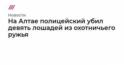 На Алтае полицейский убил девять лошадей из охотничьего ружья - tvrain.ru - респ. Алтай