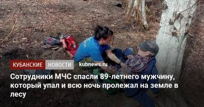 Сотрудники МЧС спасли 89-летнего мужчину, который упал и всю ночь пролежал на земле в лесу - kubnews.ru - Сочи - Краснодарский край