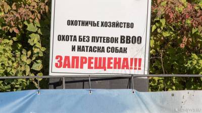 На Южном Урале изменилась схема весенней охоты на птиц - newdaynews.ru - Челябинская обл. - Верхнеуральск