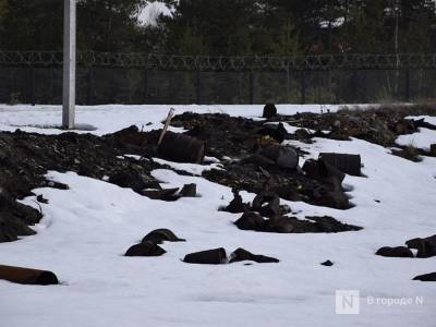 Нижегородское Минимущества начало реквизицию участков под свалкой в СНТ «Родник» - vgoroden.ru - Нижегородская обл.