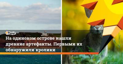 На одиноком острове нашли древние артефакты. Первыми их обнаружили кролики - ridus.ru - Англия