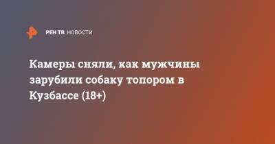 Камеры сняли, как мужчины зарубили собаку топором в Кузбассе (18+) - ren.tv - Кемеровская обл. - Прокопьевск
