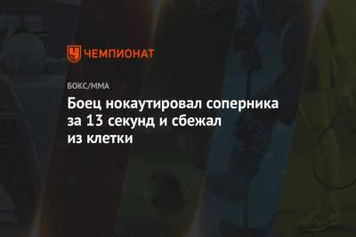 Боец нокаутировал соперника за 13 секунд и сбежал из клетки - championat.com - Швеция - Бахрейн