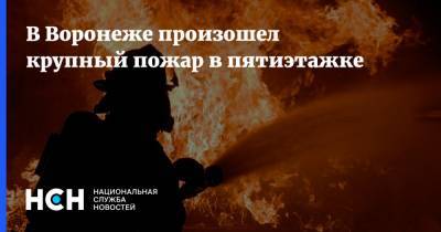 В Воронеже произошел крупный пожар в пятиэтажке - nsn.fm - Воронеж - Воронежская обл.