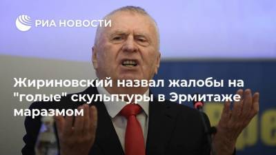 Владимир Жириновский - Михаил Пиотровский - Жириновский назвал жалобы на "голые" скульптуры в Эрмитаже маразмом - ria.ru - Москва - Петербурга - Санкт-Петербург