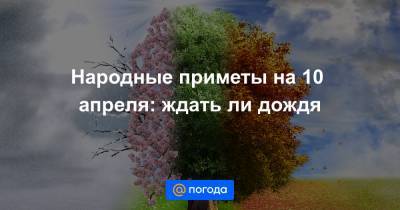 Народные приметы на 10 апреля: ждать ли дождя - news.mail.ru
