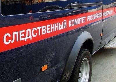 Мужчина, выпавший из окна на улице Тимуровцев, жил вдвоем с братом - ya62.ru - Рязанская обл.