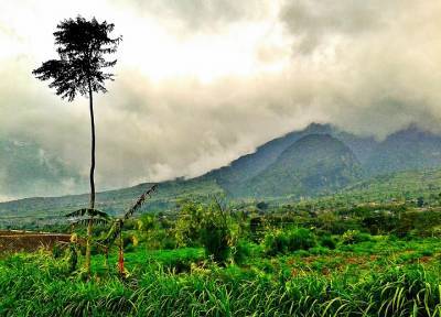 Мужчина едва не женился на чужой невесте из-за ошибки Google Maps - province.ru - Индонезия