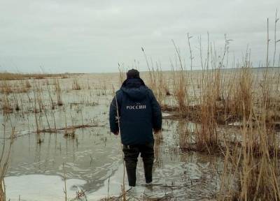 Под Волгоградом 13-летний мальчик уехал на машине отца за дровами и пропал - province.ru - Волгоград