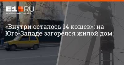 «Внутри осталось 14 кошек»: на Юго-Западе загорелся жилой дом - e1.ru - Екатеринбург