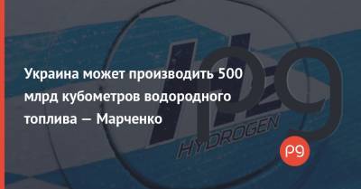 Сергей Марченко - Украина может производить 500 млрд кубометров водородного топлива — Марченко - thepage.ua