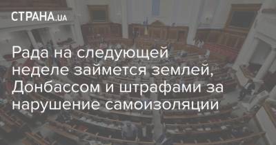 Ярослав Железняк - Рада на следующей неделе займется землей, Донбассом и штрафами за нарушение самоизоляции - strana.ua - Киев