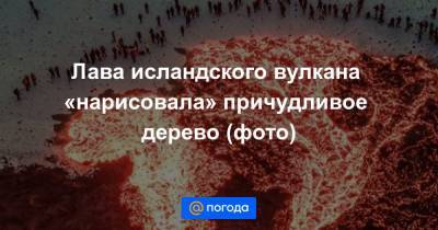 Лава исландского вулкана «нарисовала» причудливое дерево (фото) - news.mail.ru - Исландия