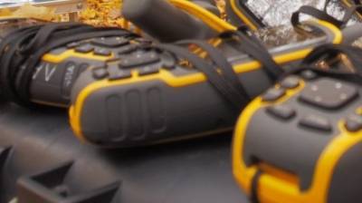 Волонтеры сообщили о начале поисков пропавшей в Ленобласти 17-летней девушки - newinform.com - Ленинградская обл. - район Ломоносовский