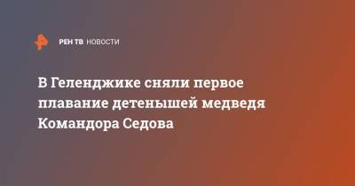 В Геленджике сняли первое плавание детенышей медведя Командора Седова - ren.tv - Красноярск - Геленджик