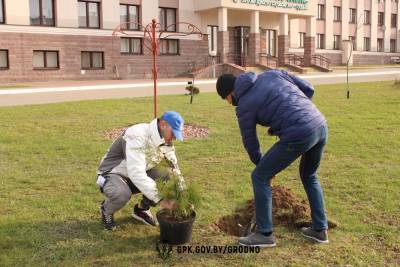 К акции "Неделя леса" присоединилась Гродненская пограничная группа - grodnonews.by