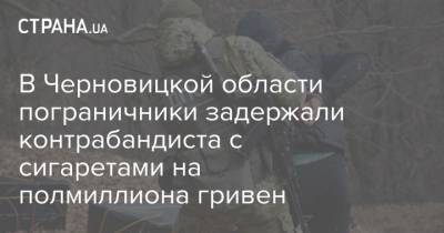 В Черновицкой области пограничники задержали контрабандиста с сигаретами на полмиллиона гривен - strana.ua - Черновицкая обл. - Черновцы