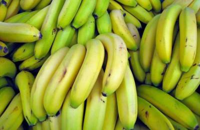 Медики рассказали о пользе ежедневного употребления бананов для здоровья - lenta.ua
