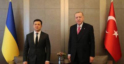 Александр Молохов - "Бойтесь данайцев, дары приносящих": в Крыму ответили на обещание Эрдогана Зеленскому - reendex.ru - Крым - Турция - Анкара