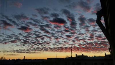 Необычные тропические облака привлекли внимание жителей Петербурга - inforeactor.ru - Петербурга