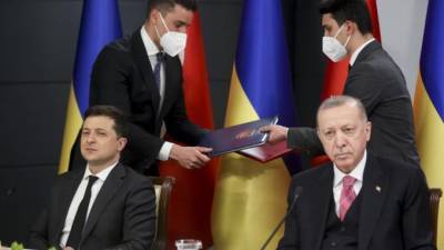 Владимир Зеленский - Тайип Эрдоган - Эрдоган поддержал создание "Крымской платформы" - piter.tv - Украина - Турция - Анкара