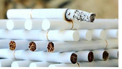 В странах ЕАЭС анонсировали появление самозатухающихся сигарет - piter.tv - территория Евразийский Экономический Союз