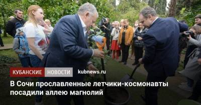Константин Затулин - В Сочи прославленные летчики-космонавты посадили аллею магнолий - kubnews.ru - Сочи - Краснодарский край