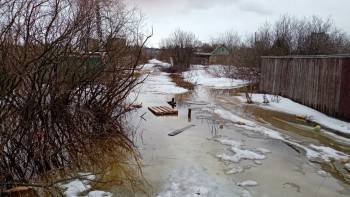 В Кувшиново вода мощным потоком топит дачи - vologda-poisk.ru - Вологда