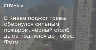 В Киеве поджог травы обернулся сильным пожаром, черный столб дыма поднялся до небес. Фото - strana.ua - Киев - район Киева - район Деснянский, Киев