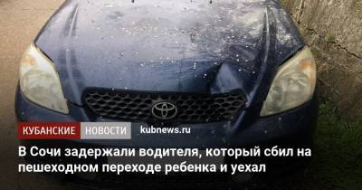 В Сочи задержали водителя, который сбил на пешеходном переходе ребенка и уехал - kubnews.ru - Сочи - Краснодарский край