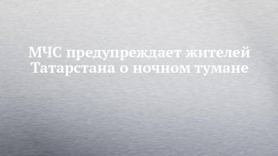 МЧС предупреждает жителей Татарстана о ночном тумане - chelny-izvest.ru - респ. Татарстан