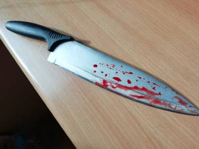 В Башкирии женщина ударила ножом собственного ребенка - ufacitynews.ru - Башкирия - район Мечетлинский