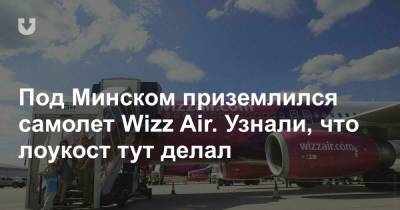 Под Минском приземлился самолет Wizz Air. Узнали, что лоукост тут делал - news.tut.by - Венгрия - Будапешт - Минск