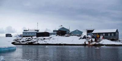 На станции Академик Вернадский недавно появился безлимитный интернет — и полярники уже провели виртуальную экскурсию - nv.ua - Антарктида - станция Академик Вернадский