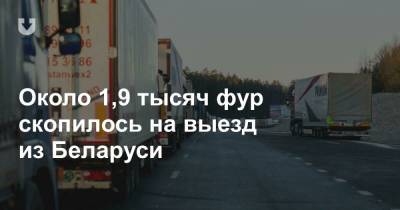 Около 1,9 тысяч фур скопилось на выезд из Беларуси - news.tut.by - Литва