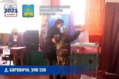 Явка на выборах главы Порховского района превысила 25% - mk-pskov.ru - Псковская обл. - Псков - район Порховский