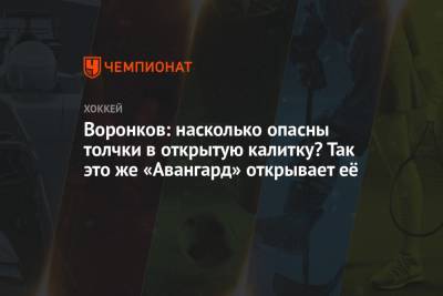 Дмитрий Воронков - Лев Лукин - Воронков: насколько опасны толчки в открытую калитку? Так это же «Авангард» открывает её - championat.com - Казань - Омск