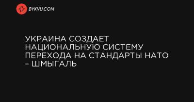 Ольга Стефанишина - Украина создает национальную систему перехода на стандарты НАТО – Шмыгаль - bykvu.com