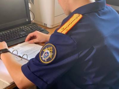 В Ленобласти завели дело на двух парней, которые облили стеклоочистителем и подожгли друга-подростка - reendex.ru - Ленинградская обл. - Волхов