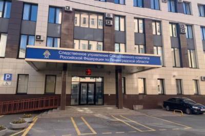 СК завёл дело после нападения на подростка под Петербургом - aif.ru - Санкт-Петербург - Волхов