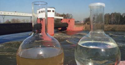 Российский "слоеный чип" поможет отыскать вирусы в воде - ren.tv