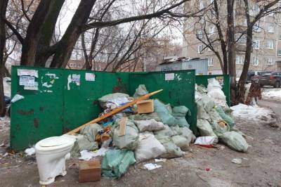 В Хабаровске «управляйки» понесли ответственность за стихийные свалки - hab.aif.ru - Хабаровск