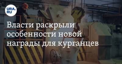 Власти раскрыли особенности новой награды для курганцев - ura.news - Курганская обл.